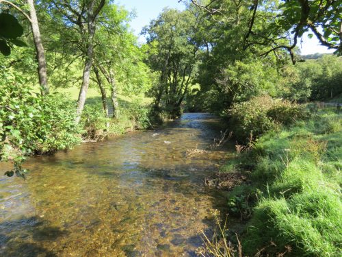 10.-Upstream-from-Larcombe-Foot-8