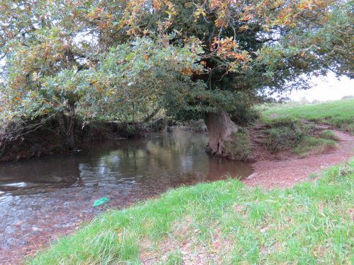 10.-Upstream-from-Pickings-Bridge-1