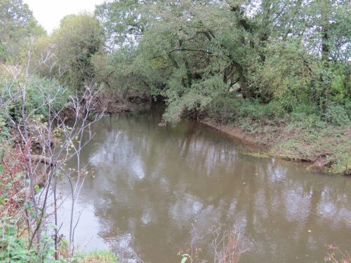 10.-Upstream-from-Pickings-Bridge-2