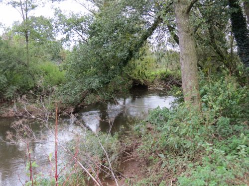 10.-Upstream-from-Pickings-Bridge-3