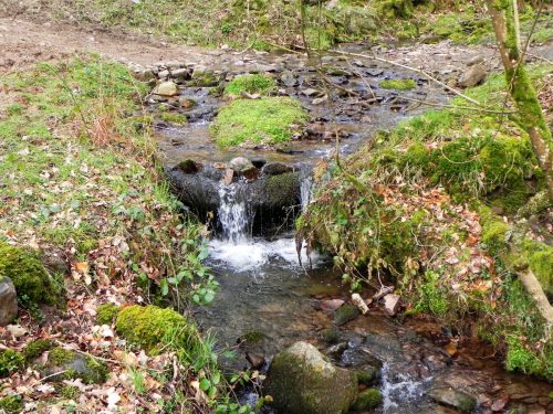 10.-Upstream-from-River-Avill-2