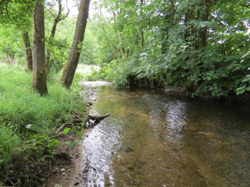 10.-Upstream-from-Week-Bridge-2