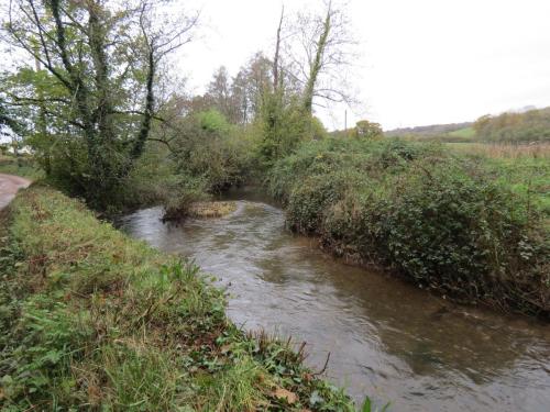 10.-Upstream-from-Wellisford-Bridge