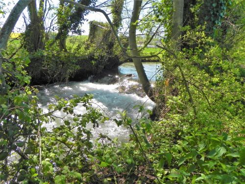 10.-Weir-Lower-Washford-2