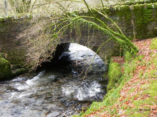 10.-West-Anstey-Bridge-Downstream-Arch-2