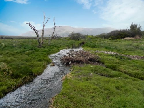 100.-Flowing-through-the-salt-marshes-to-the-sea-2