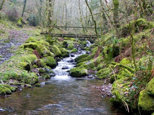 100.-Looking-upstream-to-East-Water-Valley-Footbridge-2