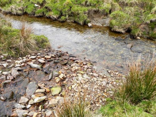 100.-Small-stream-joins-from-the-south-2