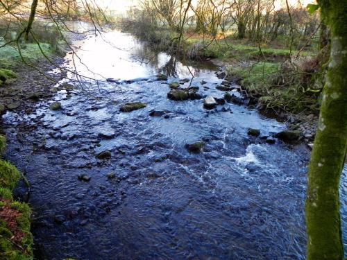 100.-Upstream-from-Slade-Bridge-2