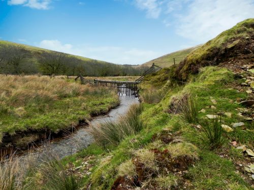 101.-Flowing-below-Wintershead-Farm-2