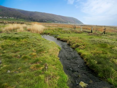 101.-Flowing-through-the-salt-marshes-to-the-sea-2