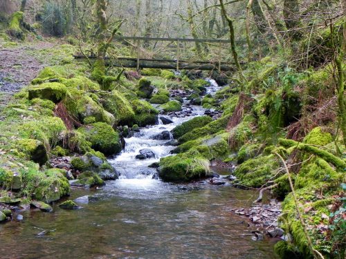 101.-Looking-upstream-to-East-Water-Valley-Footbridge-2