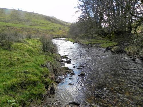 101.-Upstream-from-Ferny-Ball-Bridge-2