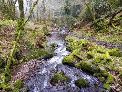 102.-Looking-downstream-from-East-Water-Valley-Footbridge-2