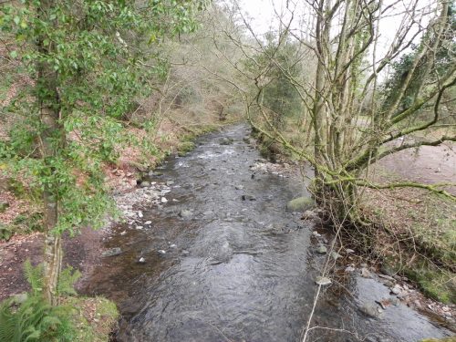 102.-Looking-downstream-from-Horner-Bridge