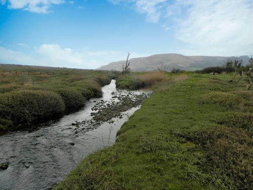 103.-Flowing-through-the-salt-marshes-to-the-sea-2