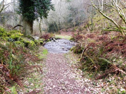 104.-East-Water-Valley-Ford-2