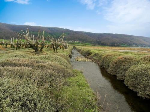 104.-Flowing-through-the-salt-marshes-to-the-sea-2