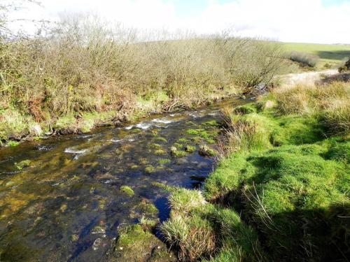 104.-Upstream-from-Confluence-with-River-Barle-2