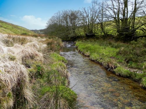 105.-Flowing-below-Horsen-Farm-2