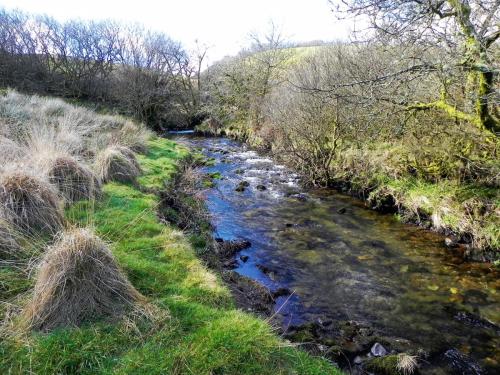 105.-Upstream-from-Confluence-with-River-Barle-2