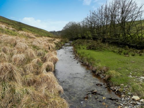 106.-Flowing-below-Horsen-Farm-2