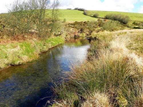 106.-Upstream-from-Confluence-with-River-Barle-2
