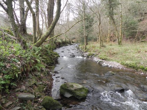 107.-Downstream-from-Horner-Bridge