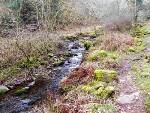 107.-Flowing-through-East-Water-Valley-2