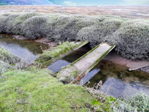 107.-Flowing-through-the-salt-marshes-to-the-sea-2