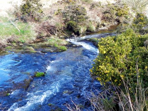 107.-Upstream-from-Confluence-with-River-Barle-2