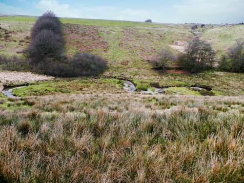 108.-Flowing-below-Horsen-Farm-2