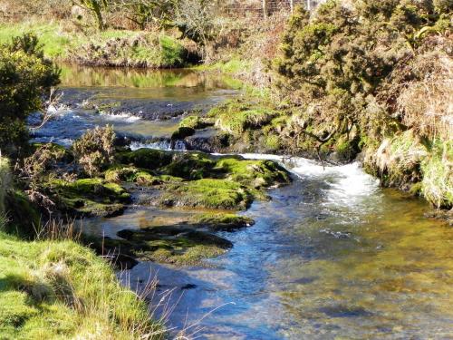 108.-Upstream-from-Confluence-with-River-Barle-2