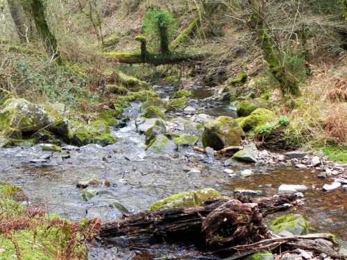 109.-Flowing-through-East-Water-Valley-2