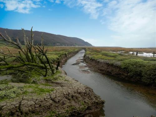 109.-Flowing-through-the-salt-marshes-to-the-sea-2