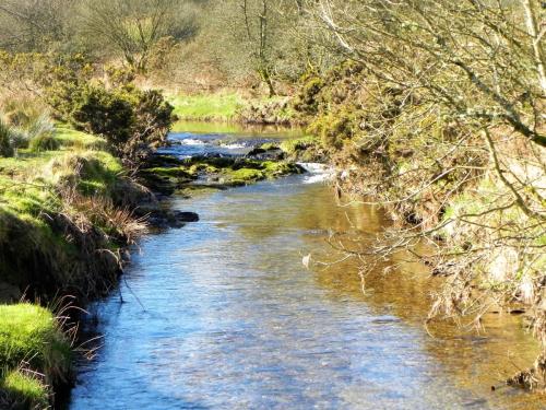 109.-Upstream-from-Confluence-with-River-Barle-2