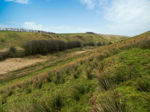 109.-Upstream-from-Long-Holcombe-Water-2