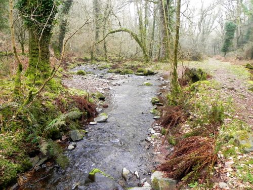109a.-Looking-upstream-from-ROW-Bridge-3251-East-Water-Valley-2
