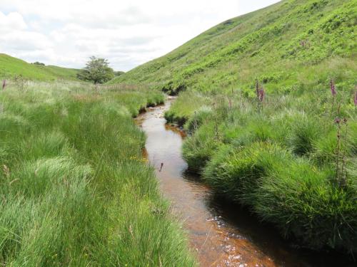 10a.-Below-Little-Ashcombe-downstream-from-Ravens-nest-10