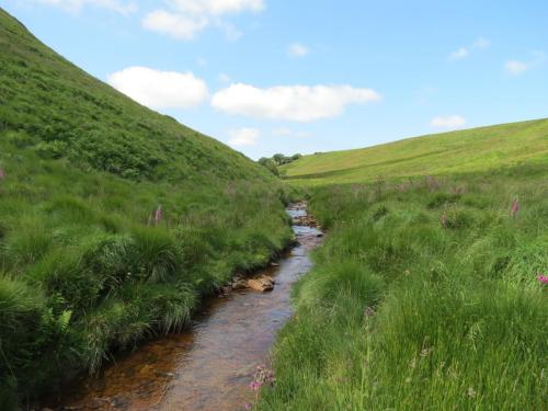 10a.-Below-Little-Ashcombe-downstream-from-Ravens-nest-11