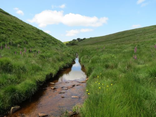 10a.-Below-Little-Ashcombe-downstream-from-Ravens-nest-12
