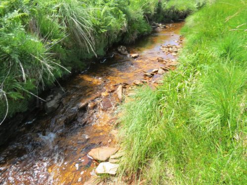 10a.-Below-Little-Ashcombe-downstream-from-Ravens-nest-14