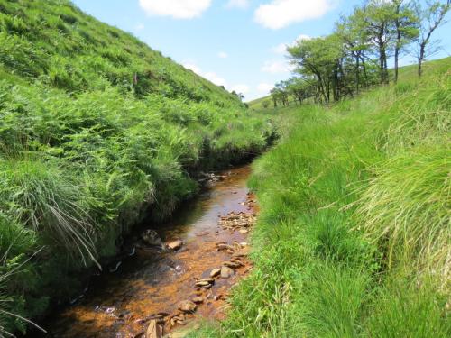 10a.-Below-Little-Ashcombe-downstream-from-Ravens-nest-15