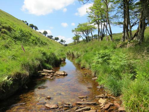 10a.-Below-Little-Ashcombe-downstream-from-Ravens-nest-2