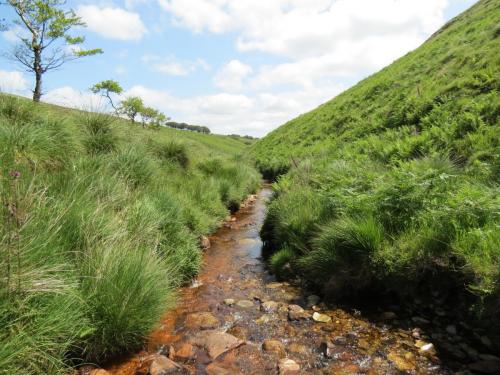 10a.-Below-Little-Ashcombe-downstream-from-Ravens-nest-3