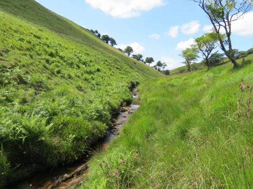 10a.-Below-Little-Ashcombe-downstream-from-Ravens-nest-4