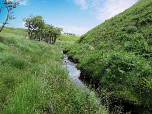 10a.-Below-Little-Ashcombe-downstream-from-Ravens-nest-5