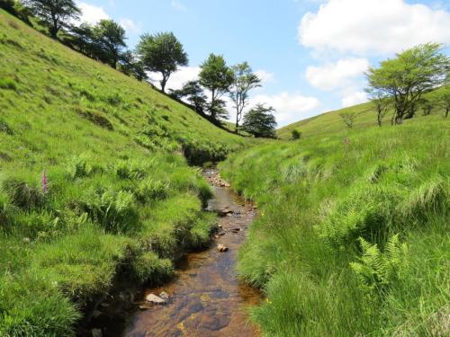 10a.-Below-Little-Ashcombe-downstream-from-Ravens-nest-6