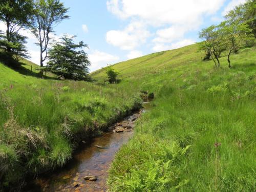 10a.-Below-Little-Ashcombe-downstream-from-Ravens-nest-7