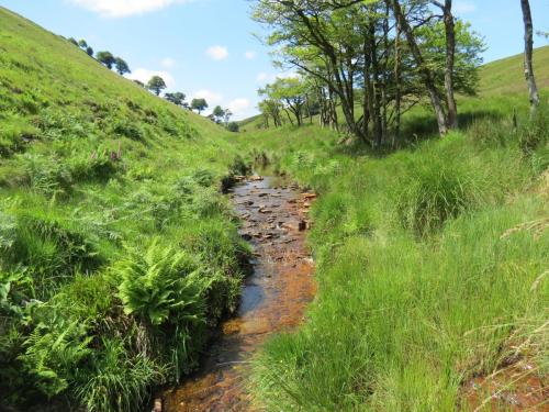 10a.-Below-Little-Ashcombe-downstream-from-Ravens-nest-8